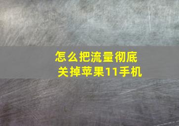 怎么把流量彻底关掉苹果11手机