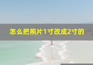 怎么把照片1寸改成2寸的