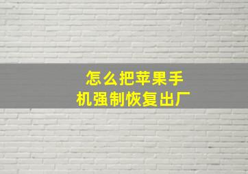 怎么把苹果手机强制恢复出厂