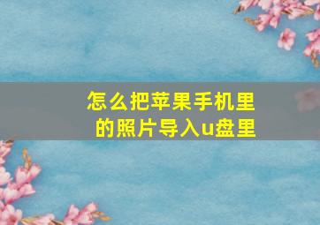 怎么把苹果手机里的照片导入u盘里