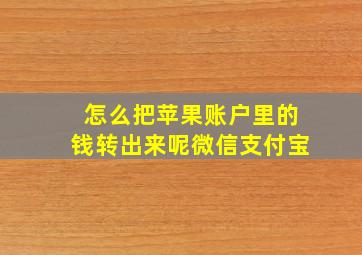 怎么把苹果账户里的钱转出来呢微信支付宝