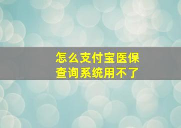 怎么支付宝医保查询系统用不了