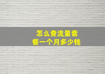 怎么查流量套餐一个月多少钱