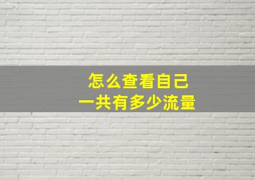 怎么查看自己一共有多少流量