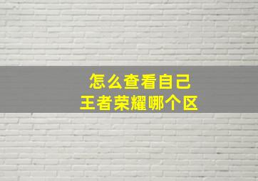 怎么查看自己王者荣耀哪个区