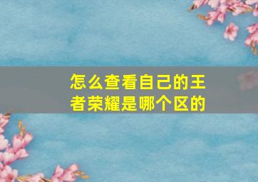 怎么查看自己的王者荣耀是哪个区的