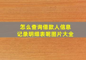 怎么查询借款人信息记录明细表呢图片大全