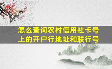 怎么查询农村信用社卡号上的开户行地址和联行号