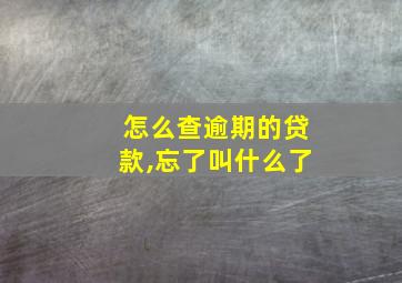 怎么查逾期的贷款,忘了叫什么了