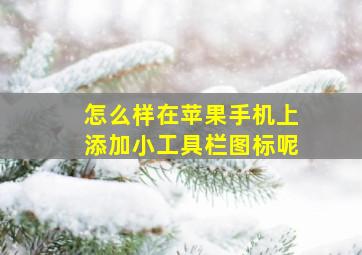 怎么样在苹果手机上添加小工具栏图标呢