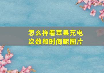 怎么样看苹果充电次数和时间呢图片