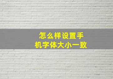 怎么样设置手机字体大小一致