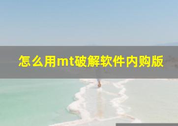 怎么用mt破解软件内购版