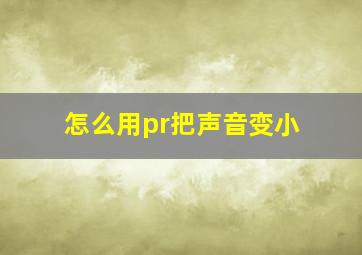 怎么用pr把声音变小