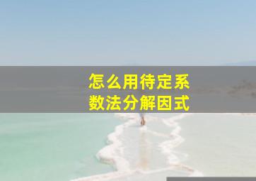 怎么用待定系数法分解因式