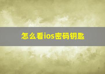 怎么看ios密码钥匙