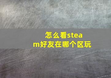 怎么看steam好友在哪个区玩