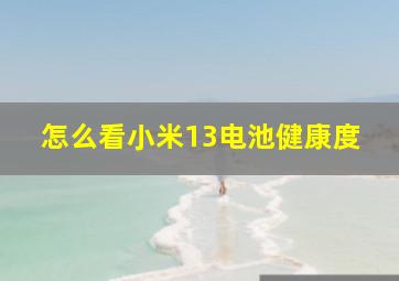 怎么看小米13电池健康度