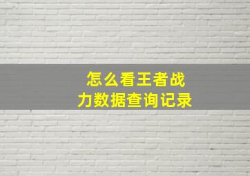 怎么看王者战力数据查询记录