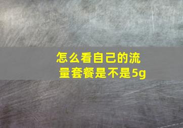 怎么看自己的流量套餐是不是5g