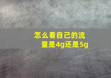 怎么看自己的流量是4g还是5g