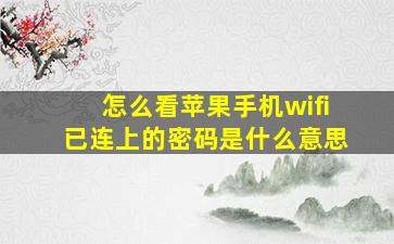 怎么看苹果手机wifi已连上的密码是什么意思