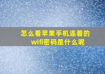 怎么看苹果手机连着的wifi密码是什么呢