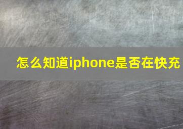 怎么知道iphone是否在快充