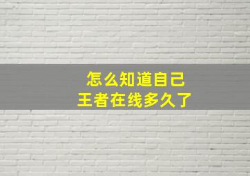 怎么知道自己王者在线多久了