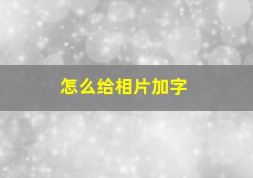 怎么给相片加字