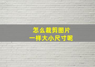 怎么裁剪图片一样大小尺寸呢