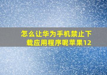 怎么让华为手机禁止下载应用程序呢苹果12