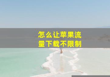 怎么让苹果流量下载不限制