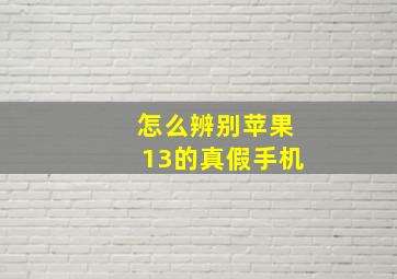 怎么辨别苹果13的真假手机