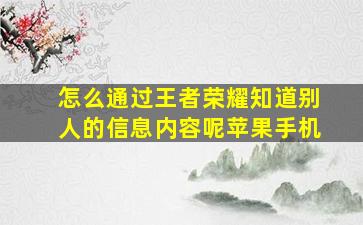 怎么通过王者荣耀知道别人的信息内容呢苹果手机