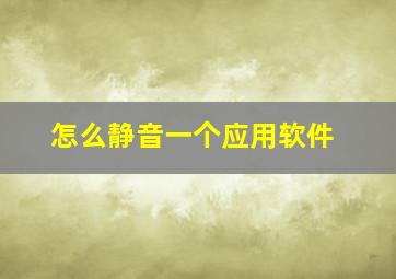 怎么静音一个应用软件