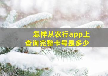 怎样从农行app上查询完整卡号是多少