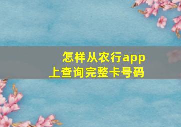 怎样从农行app上查询完整卡号码