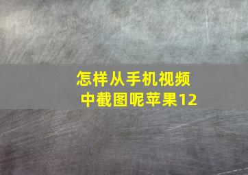 怎样从手机视频中截图呢苹果12