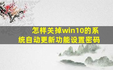 怎样关掉win10的系统自动更新功能设置密码