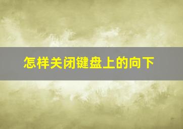 怎样关闭键盘上的向下