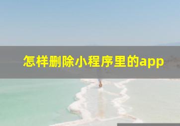 怎样删除小程序里的app