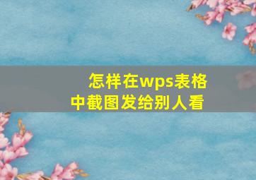 怎样在wps表格中截图发给别人看