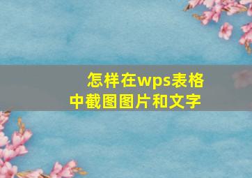 怎样在wps表格中截图图片和文字