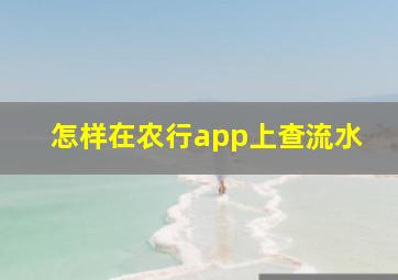 怎样在农行app上查流水