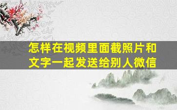 怎样在视频里面截照片和文字一起发送给别人微信