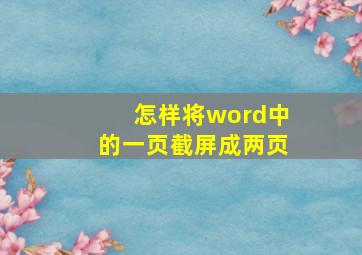 怎样将word中的一页截屏成两页