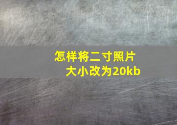 怎样将二寸照片大小改为20kb