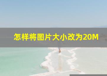 怎样将图片大小改为20M