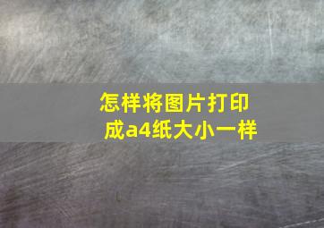 怎样将图片打印成a4纸大小一样